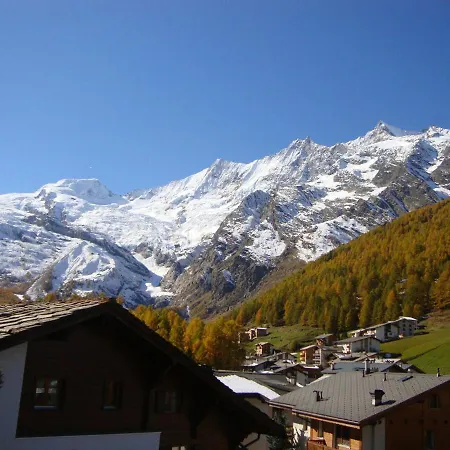 Delphin * Saas-Fee
