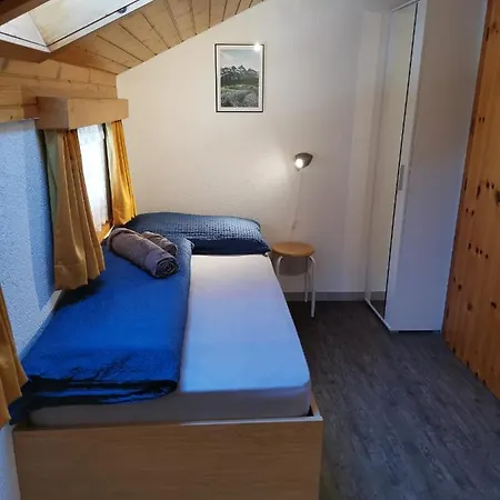 Delphin * Saas-Fee