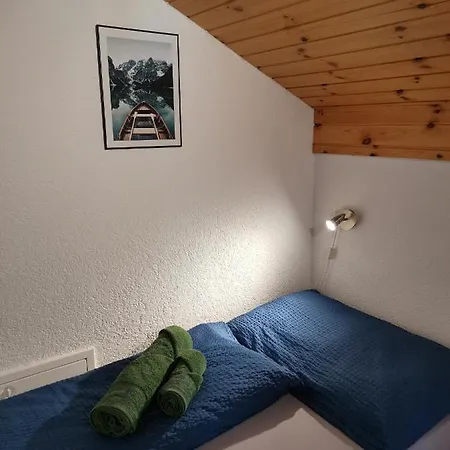 Delphin * Saas-Fee