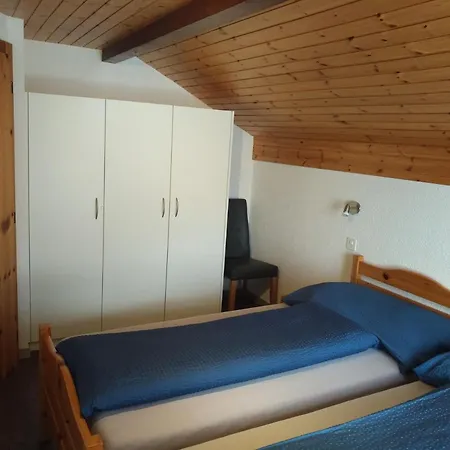 Delphin Saas-Fee
