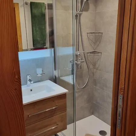 Delphin Saas-Fee