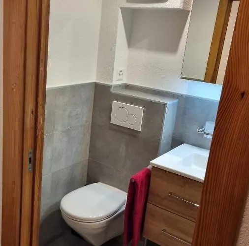 Delphin Apartament *