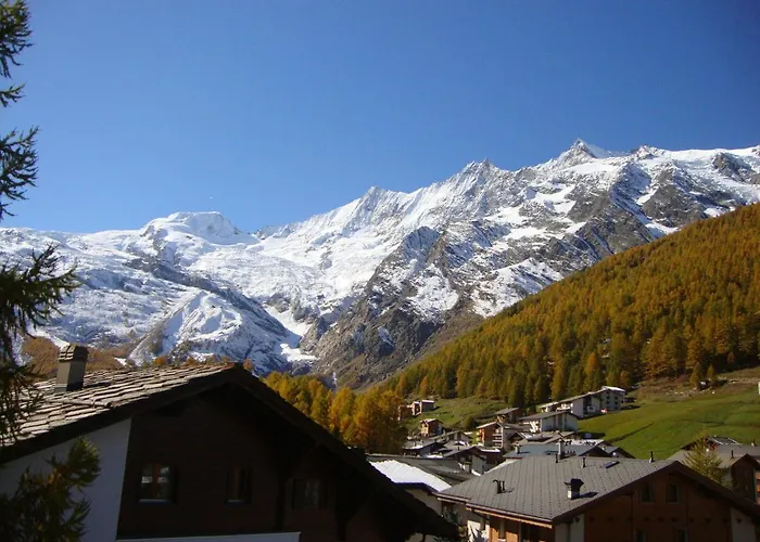 Delphin * Saas Fee