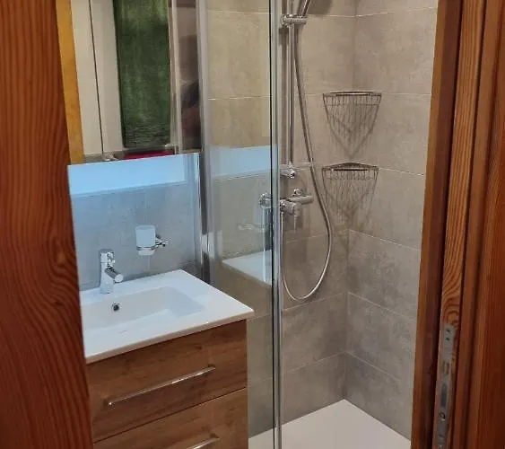 Delphin Saas Fee