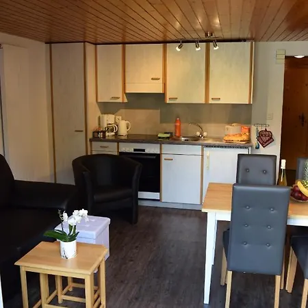 Apartment Delphin Saas-Fee